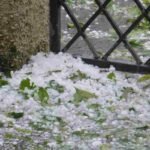 Grandine in giardino