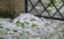 Grandine in giardino
